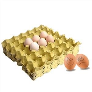 Papír cellulóztojás tálca gyártók